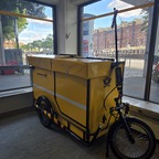 Im ZSP Steckelhörn, Hamburg entdeckt